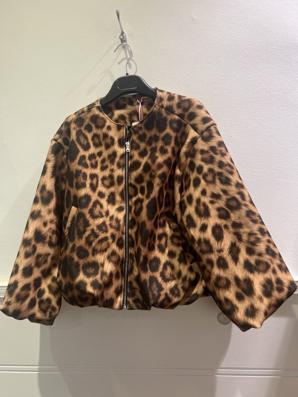 Bomber Print