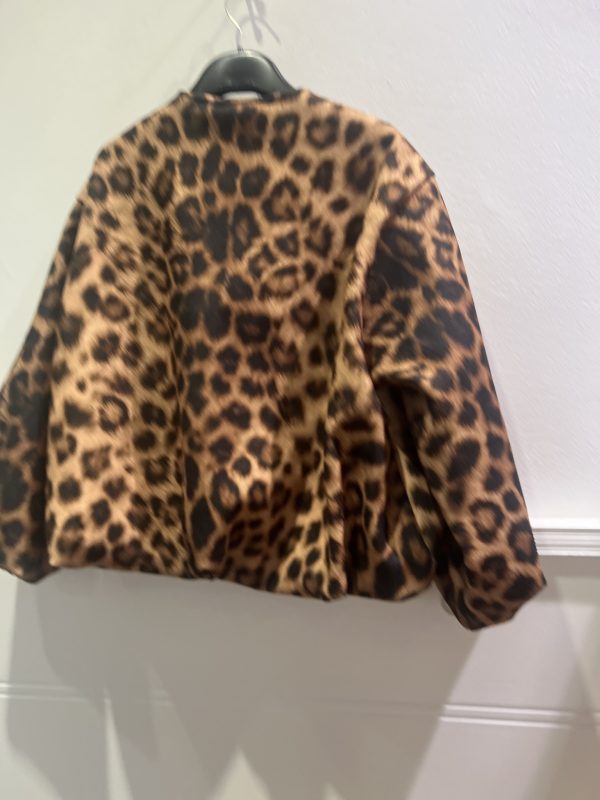 Bomber Print